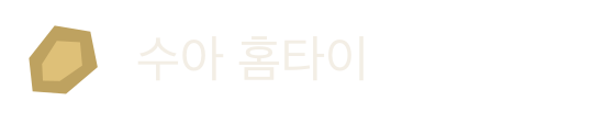 수아 홈타이